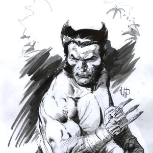 Wolverine Pin Up