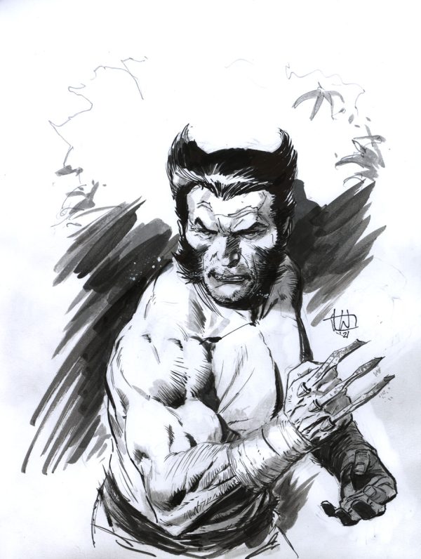 Wolverine Pin Up