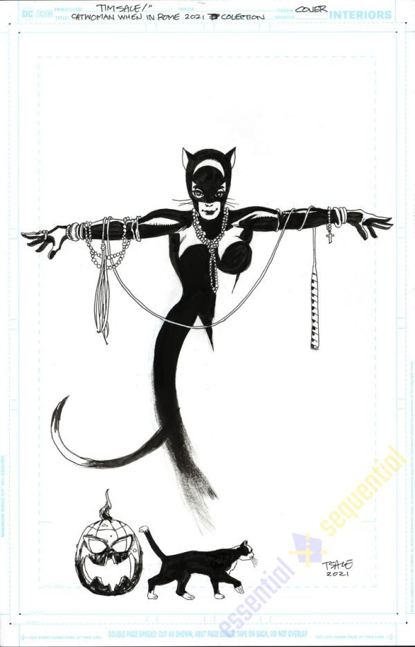 Catwoman: When in Rome Deluxe Edition Cover by Tim Sale