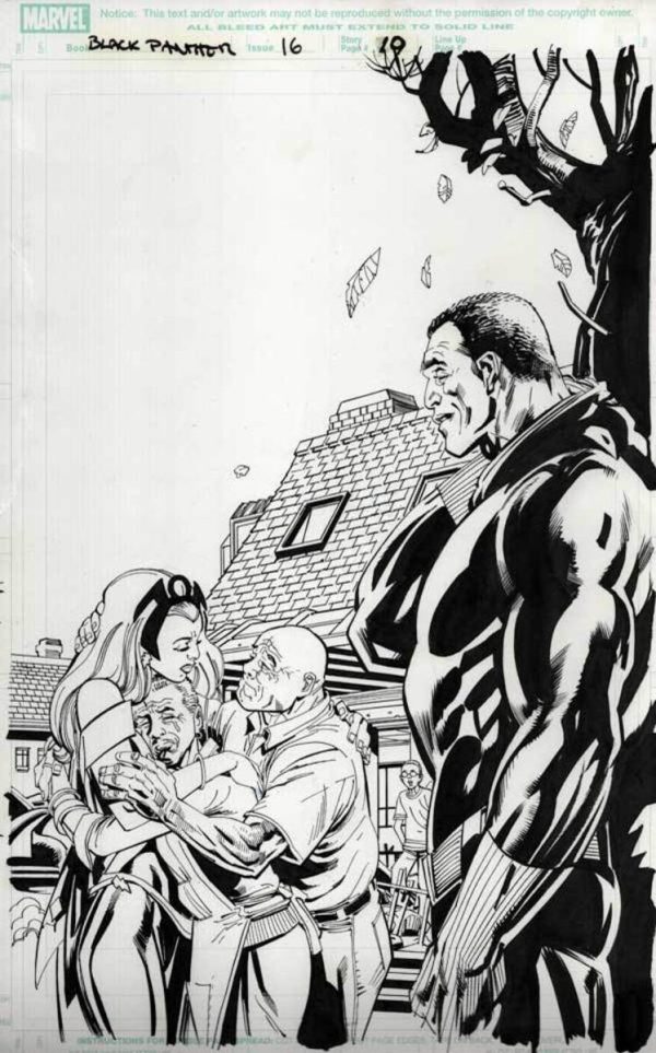 Black Panther #16 p.10 by Scott Eaton & Klaus Janson