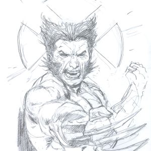 Wolverine Prelim