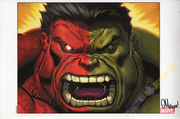 Red/ Green Hulk Print by Jeph Loeb and Ed McGuinness