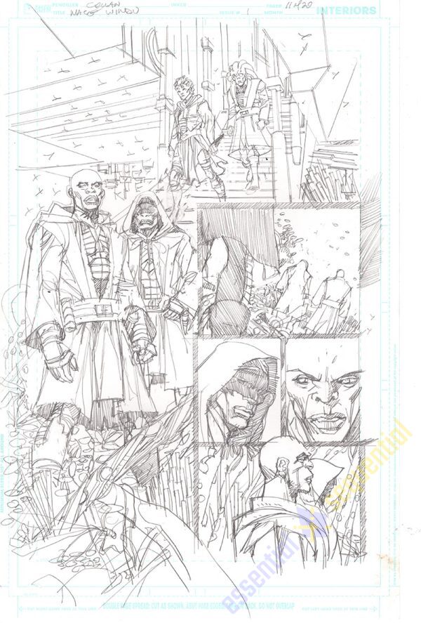 Star Wars: Mace Windu #1 Page 11 by Denys Cowan